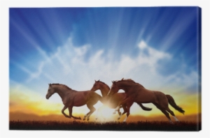 Horses Running In The Sunset
