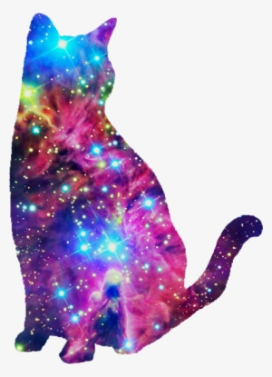 Galaxy Cat, I Don't Know Why I Like This So Much Haha - Galaxy Cat Black Background