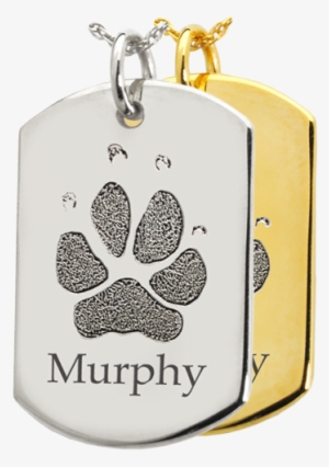 Flat Dog Tag Pawprint Jewelry In Silver And Gold Shown - B&b Dog Tag Actual Pawprint Jewelry