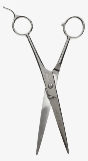 Scissors Shears Barber Hairstyle - Hairstyle Hair Scissors Png