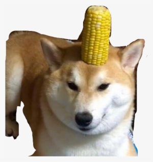 It's A Corndog - Make A Corndog