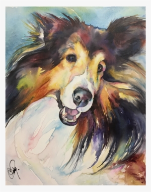 Sheltie Portrait Christystudios