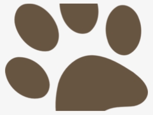 Paw