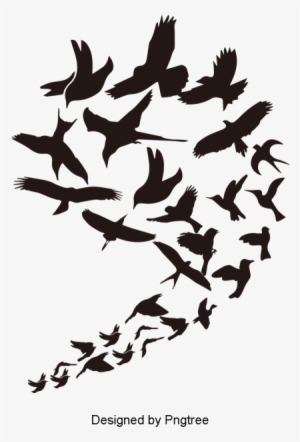 Birds Flying In The Air Are Lined Up With Beautiful - Bird