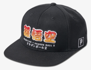 Dbz Dragon Snapback $34 - Flat Bill Costa Hat