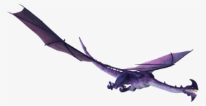 Dragon, Creature, Fantasy, Animal - Stock.xchng