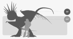 Nadder Size - Dragon Astrid Et Tempete