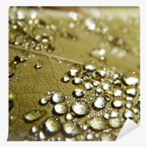 Px, File Size - Water