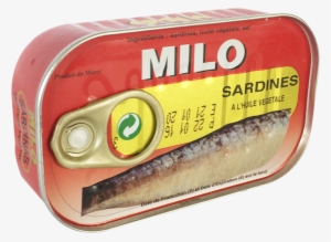 Wawa B 0163 Layer-45 - Milo Sardine