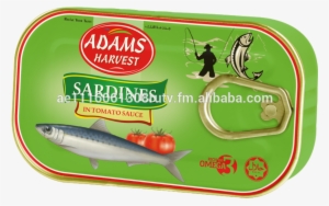 Sardines In Tomato Sauce 125 Gm Eoe - Bait Fish