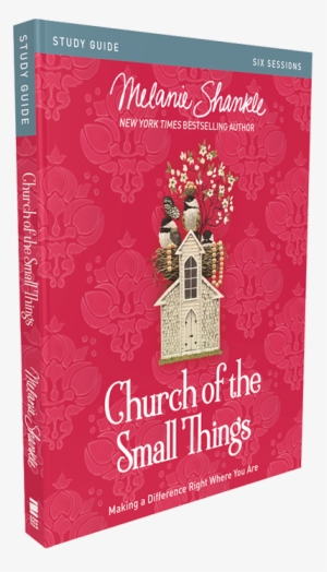 Church Of The Small Things Study Guide
