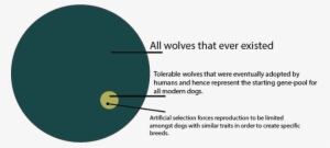This Represents An Alarming Amount Of Forced Incest - Circle