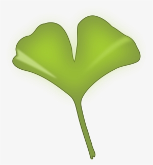 This Free Icons Png Design Of Ginkgo Biloba Leaf