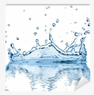 Water Splash, Isolated On White Background Wall Mural - Drop