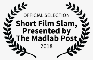 Crazy Cat Lady Yard Sign