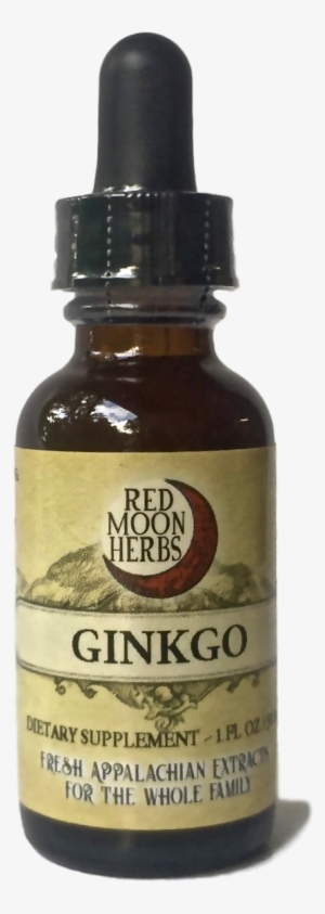 Ginkgo Ginko Herbal Extract Bottle For Brain And Mental - Extract Herbal