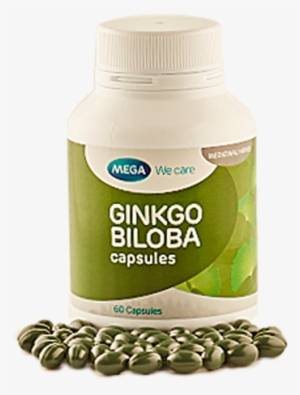 Ginkgo Biloba Sri Lanka