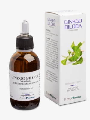 Ginkgo Biloba In Vendita A Cosa Serve, Recensioni E - Herbalism
