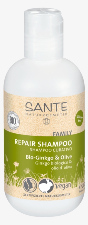 Repair Shampoo Gingko & Olive - Sante Shampoo