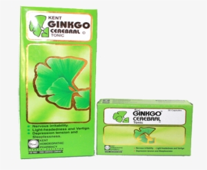 Ginkgo Biloba Syrup In Pakistan