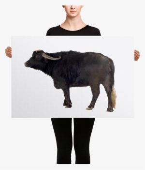 Water-buffalo Canvas - Black Mask Red Pied French Bulldog Canvas