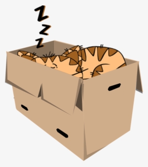 Sleep,cute,free - Cat In Box Cartoon Png