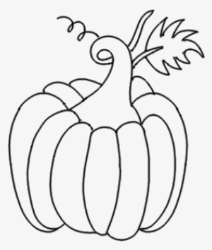 Draw Pumpkin - Step - Drawing