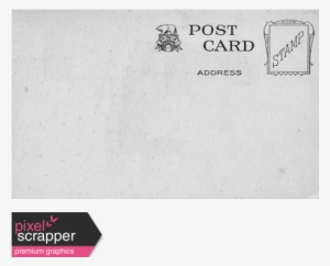 Postcard Template - Reptile