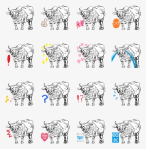 Endangered Species Series Water Buffalo - Sketch