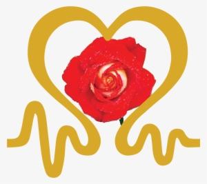 Cor Connection - Coach