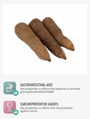 Carcinopreventive - Tubers Of Yam In Nigeria