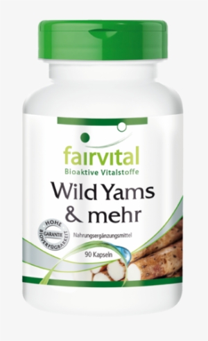 Wild Yams & More - Hyaluron Tablets