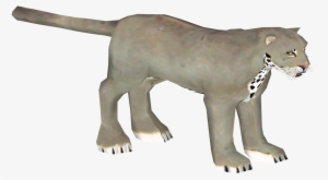 Marsupial Lion