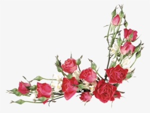 Imagens Em Png De Buquês E Cestas De Flores - Red Rose Border Watercolor Hd