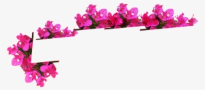 Faça Contato - Flores Trepadeiras Em Png