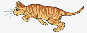 Goldenflower - Warrior Cats Nettleclaw