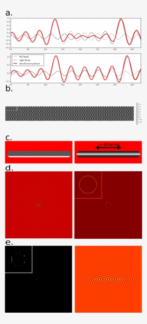 Open - Light Sheet Fluorescence Microscopy
