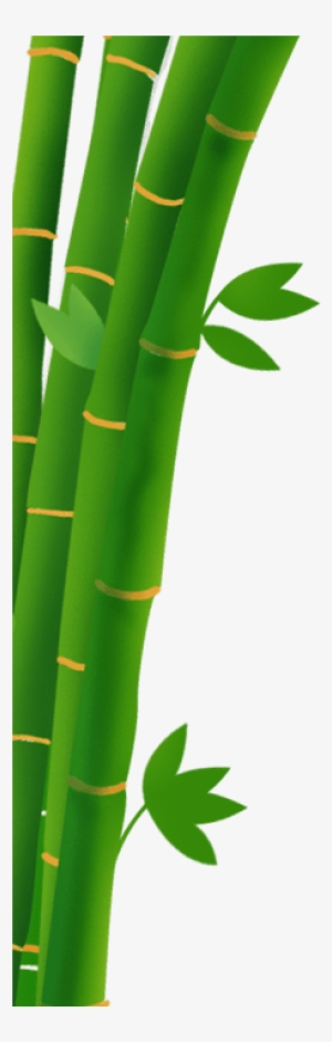 Bambu Merupakan Tanaman Yang Tidak Asing Lagi Untuk - Batang Bambu Png