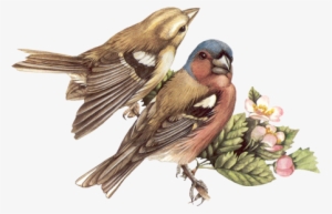 Tube Pour Vos Montages - Flower Bird Vintage Paper Ornament (round)