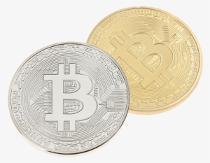 Bitcoin Bronze Everythingcoinsnet Both Coins Photo