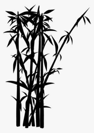 Related Wallpapers - Cañas De Bambu Vinilos