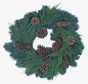 24" Douglas Fir/inc/cedar Wreath - Shortstraw Pine