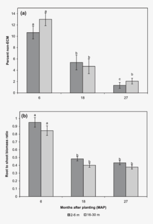 Douglas Fir Seedling Percent Non Ecm And (b) Ratio - Cloning Graphs