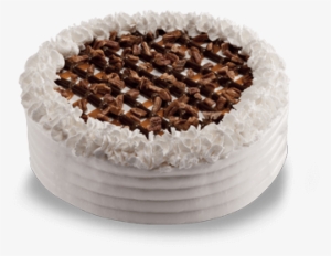 Custard Cakes - Freddy's Custard Cakes Price