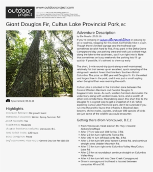 Giant Douglas Fir Field Guide - Prospect State Scenic Viewpoint Oregon