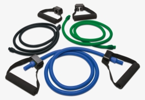 1 - Dvd Extreme Home Fitness - P90x Trainingsprogramma