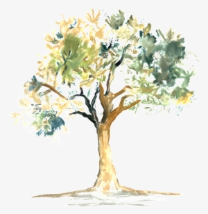 Pintado A Mano De Color Rosa Dibujos Animados Arboles - 水彩 樹