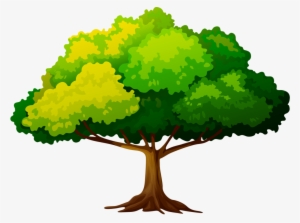 Яндекс - Фотки - Tree