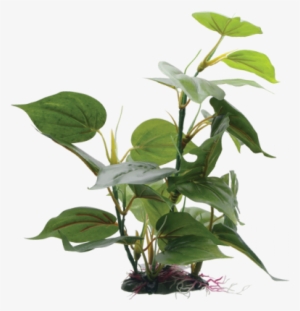 Adds A Realistic Look To Your Aquarium With Colours - Fluval Plants