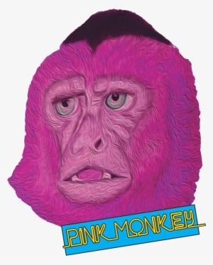 Pink Monkey Logo - Turkey